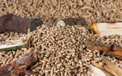 Pellet-Verbände fordern mehr erneuerbare Wärme: Fokus auf regionale Energie beim Heizen